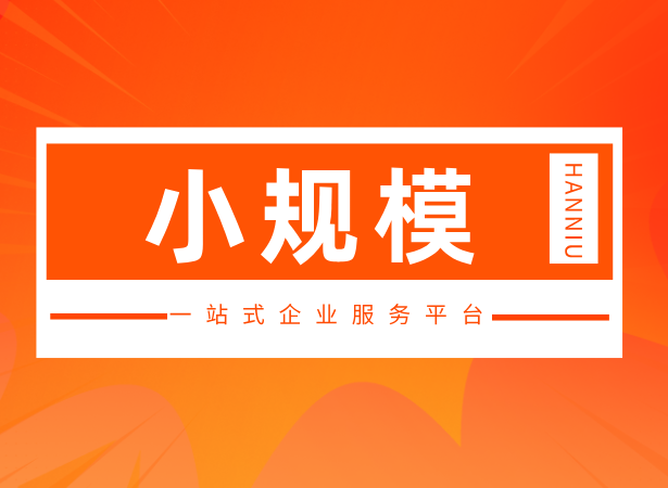 小规模纳税人（B套餐）