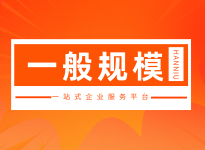 一般纳税人（C套餐）