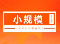 小规模纳税人（A套餐）